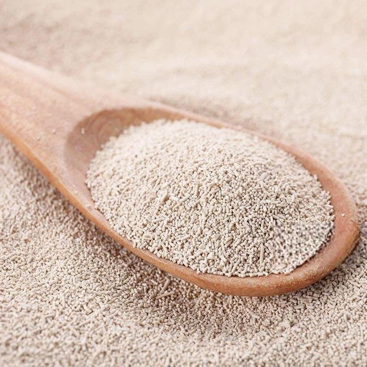 bread using instant yeast
